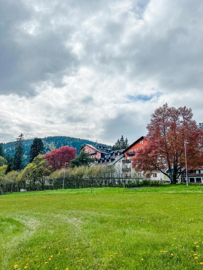 Apartmán Prokop Železná Ruda Exteriér fotografie