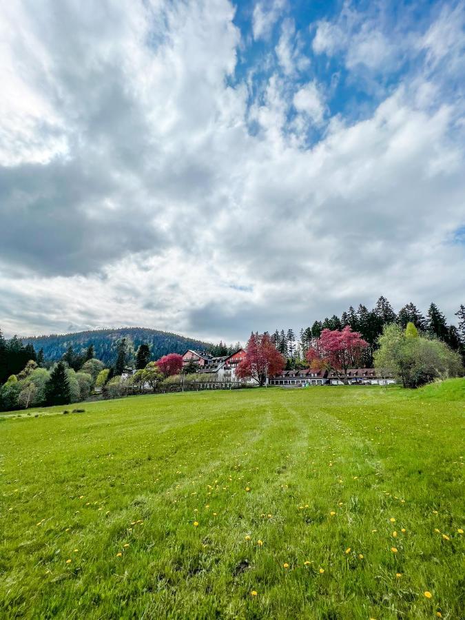 Apartmán Prokop Železná Ruda Exteriér fotografie