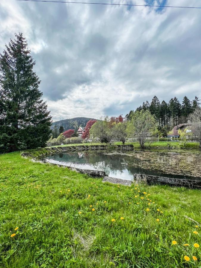 Apartmán Prokop Železná Ruda Exteriér fotografie